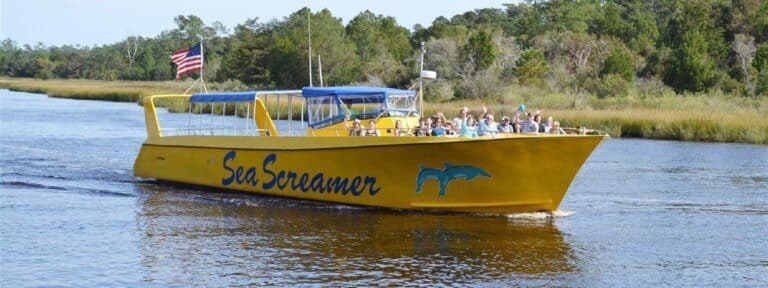 sea screamer dolphin cruise img 1 768x288