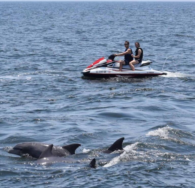 Myrtle Beach Watersports Jetski Dolphin Image 768x739
