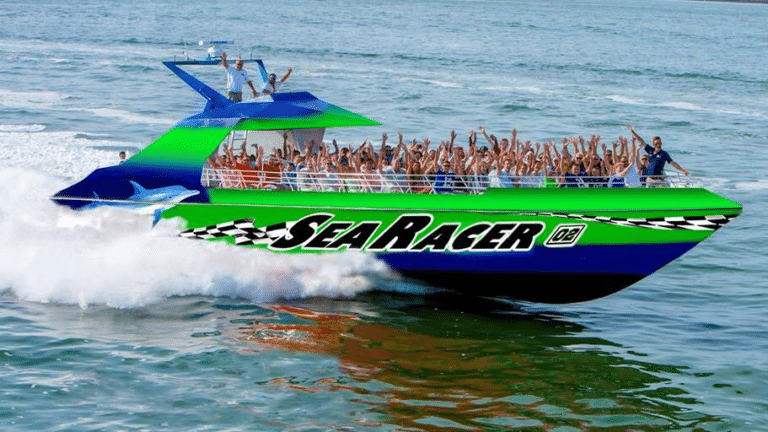 Sea Racer Dolphin Tours Image 768x432