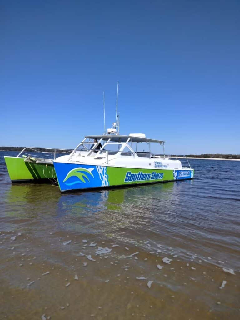 southern shores island dolphin cruise img5 768x1024