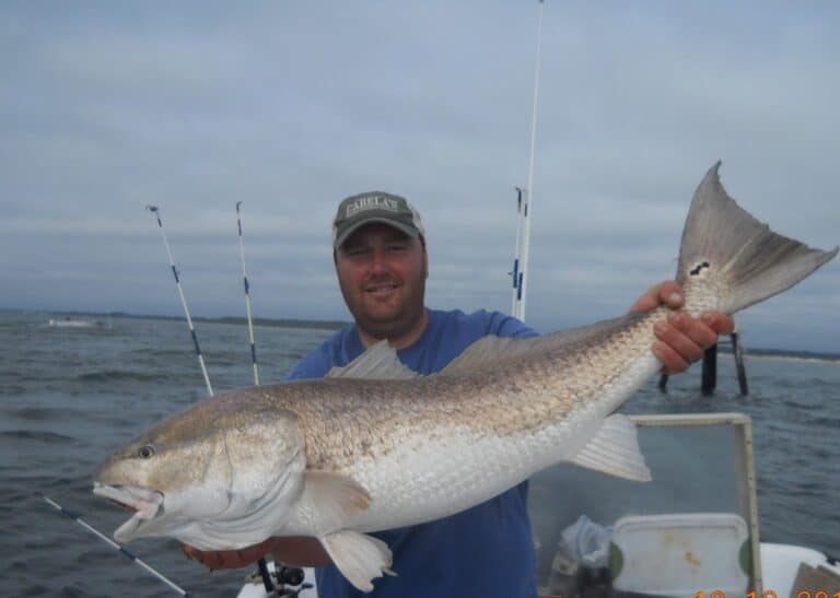 werner ocean adventures img1 768x547