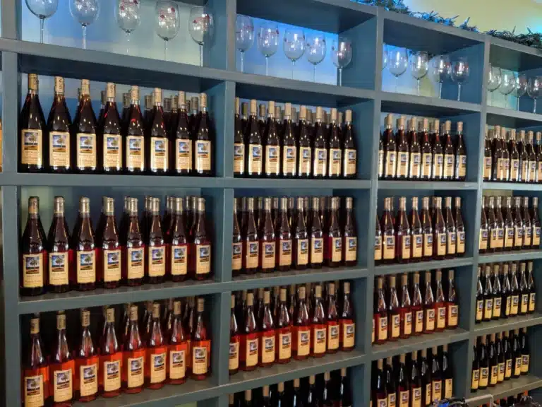 carolina vineyards winery 1 768x576