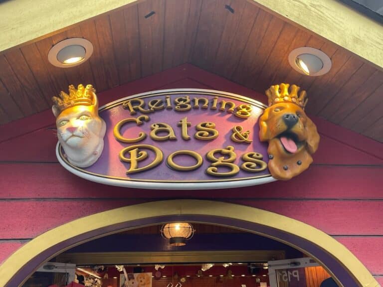 reigning cats dogs 1 768x576