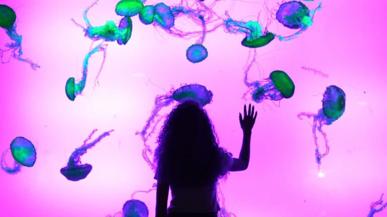 ripleys aquarium 1 768x432