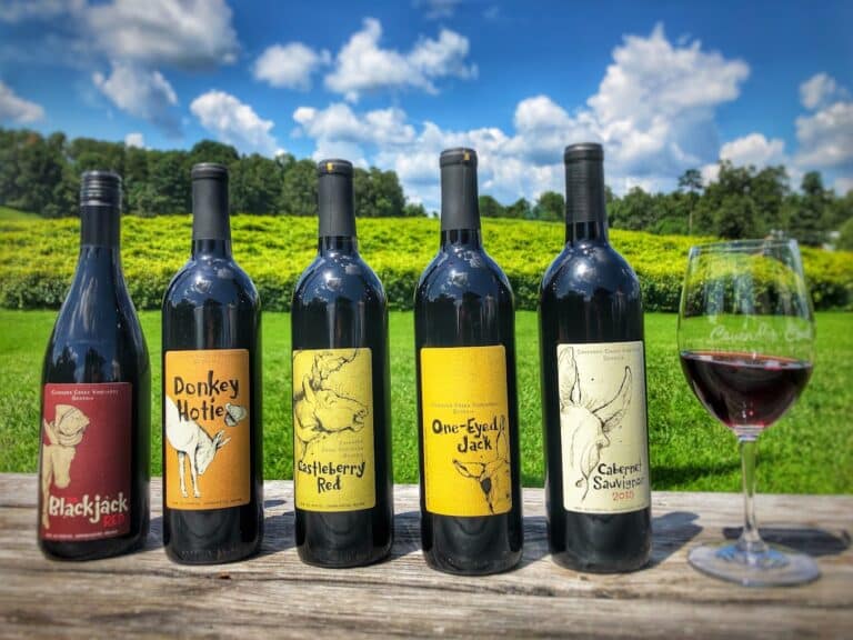 cavender creek vineyards img2 768x576