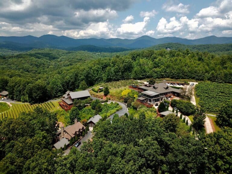 wolf mountain vineyards img1 768x576