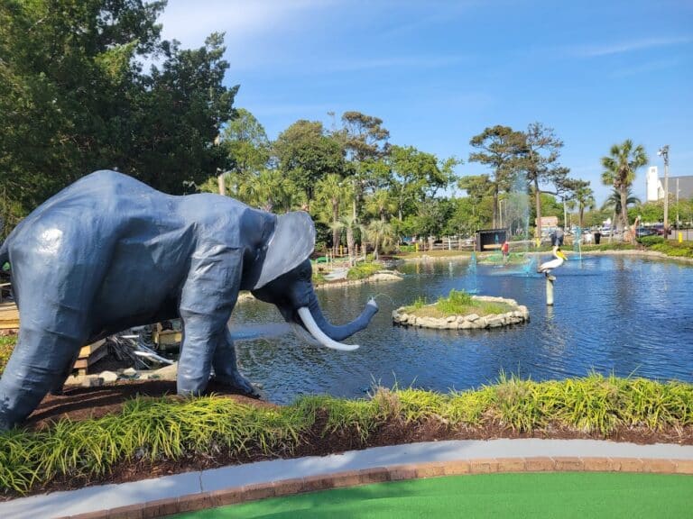 jungle safari 1 768x576