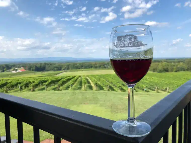 Raffaldini vineyards 1 768x576