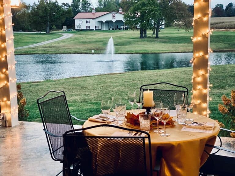 laurel gray vineyards 3 768x576