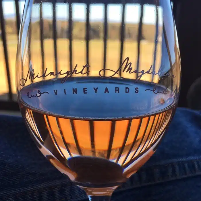 midnight magdalena vineyards 1