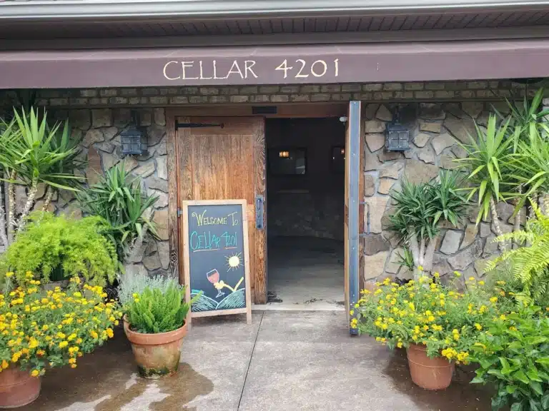cellar 4201 1 768x576