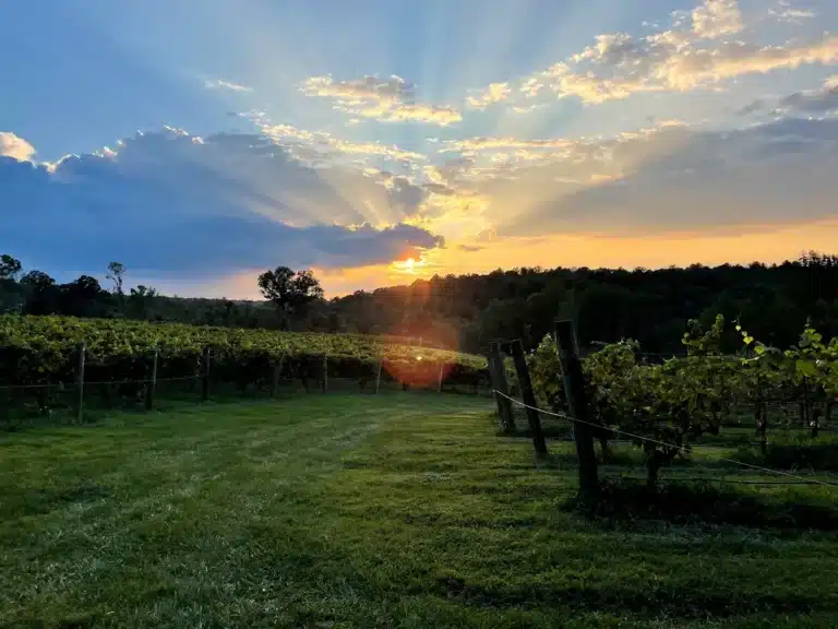golden road winery 3 768x576