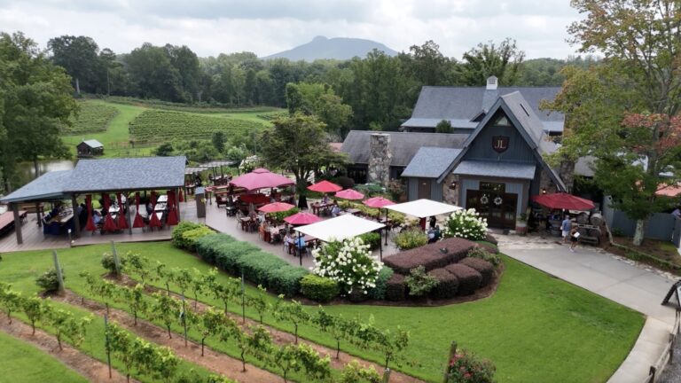 jolo winery and vineyards 1 768x432