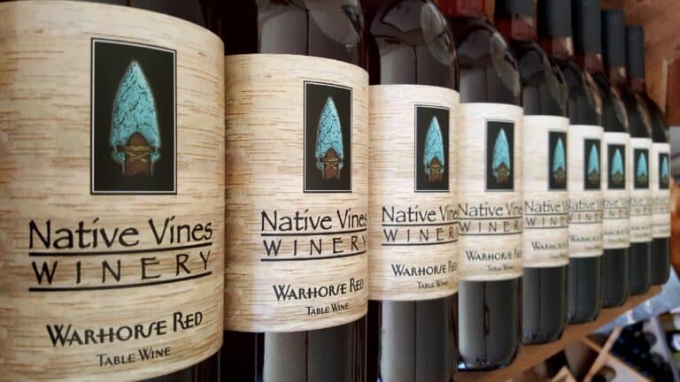 native vines winery 1 768x432