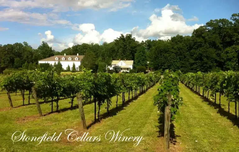stonefield vineyards winery 1 768x488
