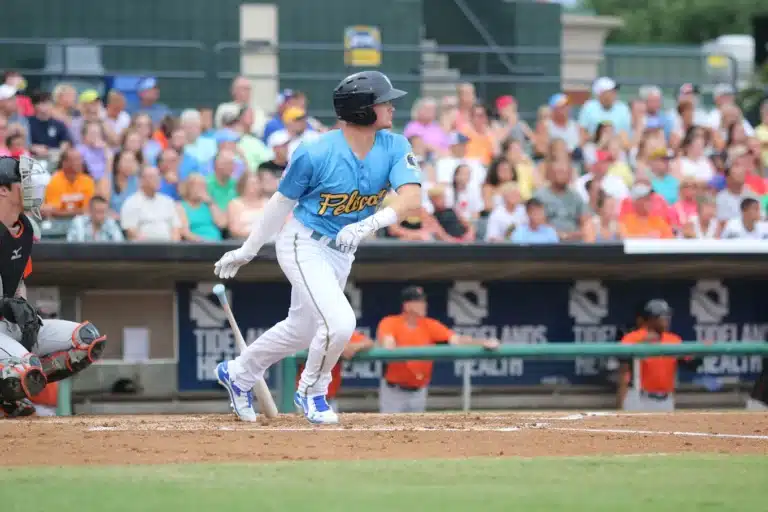 Pelicans Ballpark 1 768x512