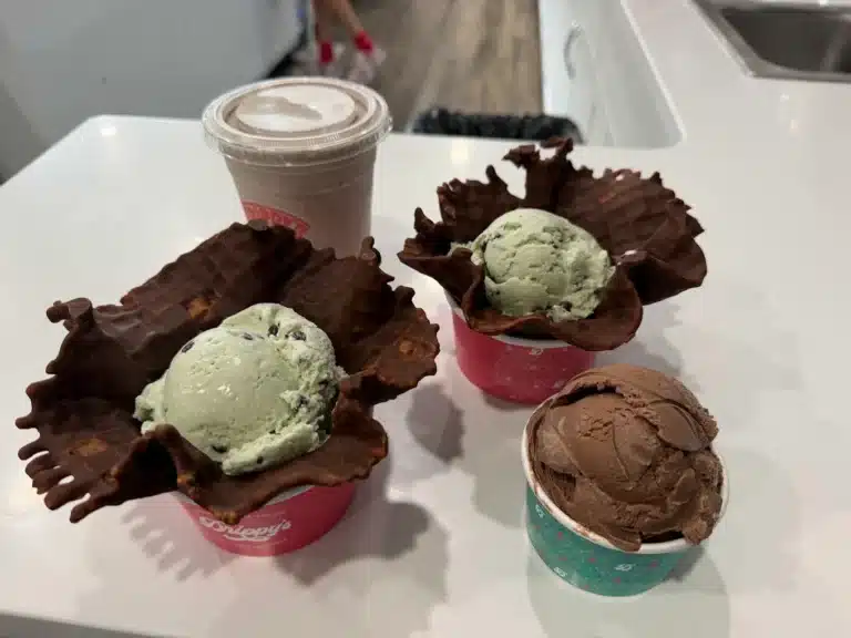 Drippys Homemade Ice Cream 1 768x576