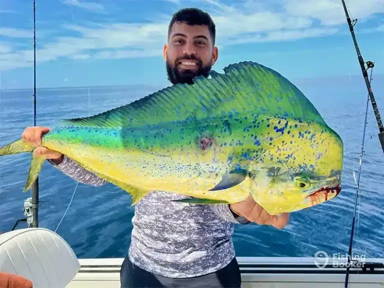 Reel Life Fishing Charters 1 768x576